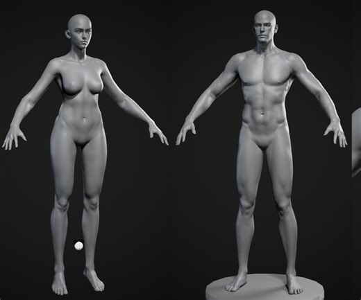 ArtStation - Rigged V2 Caucasian average Realistic character man woman zbrush male female torso head body foot hand highpoly basemesh young anatomy  base mesh | Game Assets