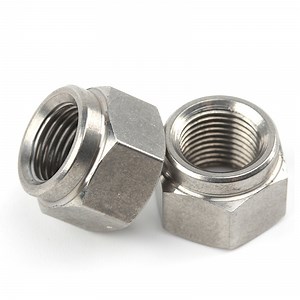 [Hot Item] 304 Stainless Steel Fine Thread Hexagon Nuts