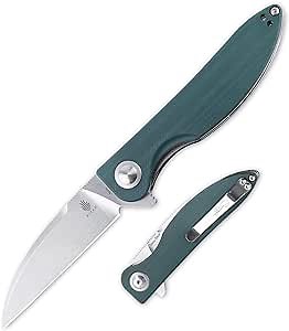 Kizer Folding Pocket Knife, Sway back, Flipper, N690 Blade with G10 Handle for Gifts, Outdoor, Hunting, Camping and EDC -V3566 (Green G10 handle + N690 blade)