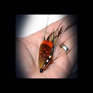 The "Lady Amherst Prawn" in the swim tank. A bit of a spin on this one😃 #flytying #steelheadflies #salmonflies #tubeflies #cdntubeflyco #canadiantubeflies #bcflyfishing | The Canadian Tube Fly Company
