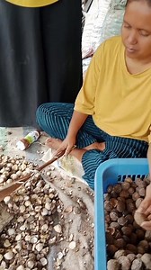 200K views · 1.9K reactions | Cara buka kemiri bestie | Tati Puspita | Facebook