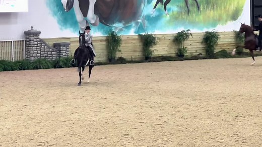 Saddle Seat Riding with Half Arabians in Ohio