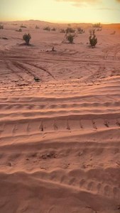 Who else is loving dune season??? SandSlinger Sport 33" #efxtires #SandSlingerSport #kmcutv | EFX Tires | Facebook