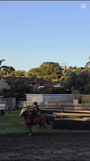 Not amazing but it was my first time properly barebacking #fypシ #horse #capcut #equestrian
