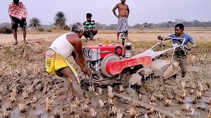 340K views · 2K reactions | Novel technique for lifting power tillers from deep mud | Excellent technique for deep mud field cultivation | Power Tiller BD & Machinery Tools | Facebook