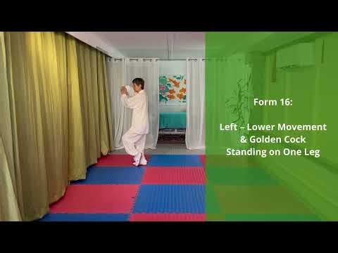 Yang 24 Forms Lesson 4, step-by-step, details instructions. 杨氏太极拳24第四段详解