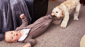 Babies Hugging Puppies! #newborn #baby #babies #cutebaby #funnybaby Our group: Baby Love | The Sound Natures