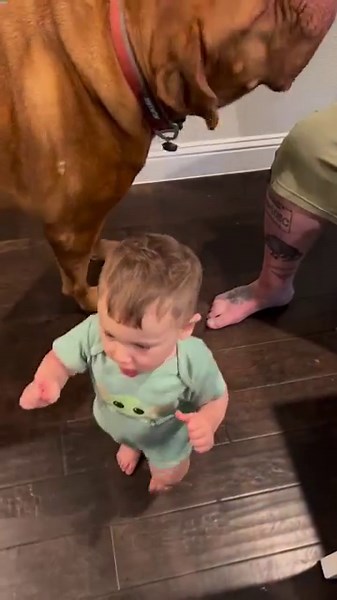 1.4K views · 60 reactions | Roscoe loves him some Braunschweiger | The Arnie States Show | Facebook