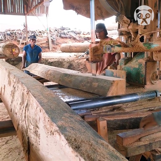 12K views · 104 reactions | Sawing wood for materials, beams & others | Science, Tech and Universe | Facebook