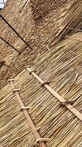 459K views · 10K reactions | Alright  #thethatchingguy #windows #satisfyingvideos #asmr #fypシ゚ #foryoupage | The Thatching Guy | Facebook