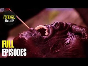 Binge Brutal True Crime Stories All Night | Season 4 Marathon (All Episodes) | Forensic Factor