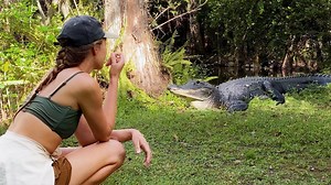 Alligators & swamp exploring in the Everglades