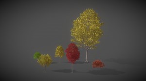 JA01 Acer Nikoense (Nikko Maple) - Download Free 3D model by xfrog