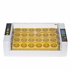 [Hot Item] Holding 24 Eggs Automatic Poultry Egg Incubator Yz-24A Ce Approved