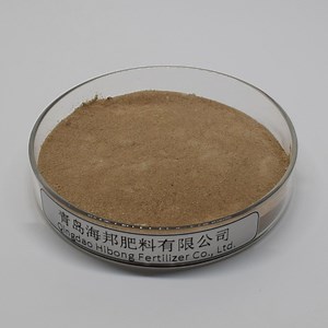 [Hot Item] Organic Micronutrient Powder for Plants with Chelated Amino Acids