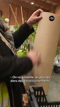 This company has established itself as a leader in online plant sales.
