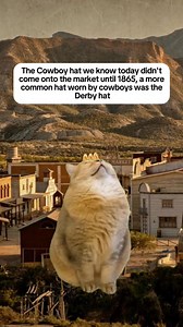 7.9K views · 322 reactions | Facts about the Wild West , You definitely know #fyp #facts #original #cats #history #simplystatedhistory | Simply Stated History | Facebook