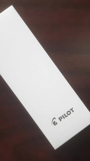 2K views · 23 reactions | Pilot Explorer Rollerball-Pen Silver. #bdpen #bdpens #pilotpen #pilotexplorer #Rollerballpen BD Pen | Get Polishd | Facebook