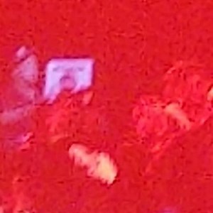 Mob deep!! Queens mofo 😭😭😭🤪 | Miss Knockout