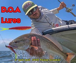 DOA C.A.L. 4” jerk bait #455 Texas Croaker. DOALures.com #redfish #doalures #saltwaterfishing | DOA Lures