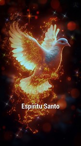 25K views · 1.9K reactions | ✨ ORACIÓN MILAGROSA al ESPÍRITU SANTO  ¡Te sorprenderá su PODER! Oraciones Cortas | Oraciones Cortas | Facebook