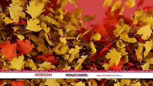 This is your last chance to save HUGE on 2023 vehicles! | Wesley Chapel Nissan | Facebook