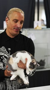 122K views · 967 reactions | Join Loving Cats Worldwide for the Boston Cat Extravaganza & Rescue Awareness Event! ❤️ This September 23rd & 24th at the Hynes Convention Center. ❤️‍啕 Meet with local rescues & charities  5 Judging Rings  The CatWalk  Renowned cat breeders  International Judges  Kitty Corner  Shopping Village  Purrfect photo opportunities Tickets  https://bit.ly/41VkbCK | Loving Cats Worldwide | Facebook