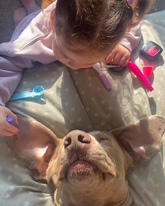 172K views · 769 reactions | Dog is getting a better spa day than what I'd pay for  | Betches | Facebook