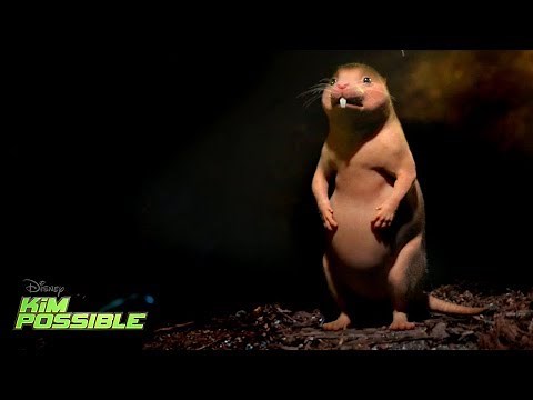 Ron and Rufus | Kim Possible | Disney Channel Original Movie