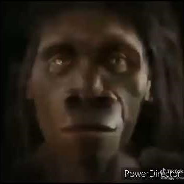 Go Back I Want To Be Monkey, Original