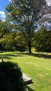 23K views · 740 reactions | Beautiful day in Saltville, Virginia. #oldhouselife #saltvilleva | Old House Life - Michelle Bowers | Facebook