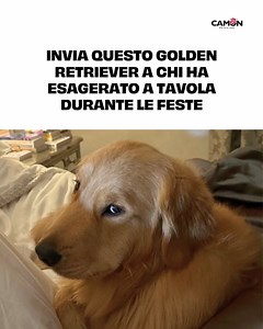 2.1K views | Camon on Reels | Facebook