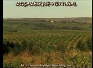 Moçambique no tempo colonial | Marrabenta VelhaGuarda