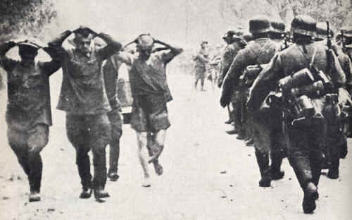 Operation Blue - History Learning Site