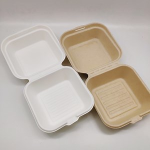 [Hot Item] Biodegradable Compostable Takeaway Fast Food Hamburger Container