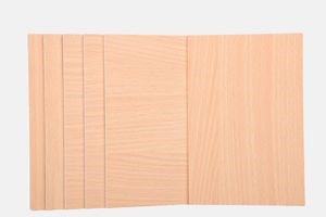 [Hot Item] Versatile Fiber Cement Board Fireproof Board for Fireproof Wall Cladding in Various Applications