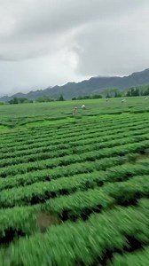 🎬 The advent of #streaming services tripled Taiwan’s TV show output, but the "Taiwanese wave" is yet to come. 🤔 Want to learn more about the potential of Taiwan’s media industry and global #SoftPower? Check out the #CONNECTED playlist at @connected.tw. | TaiwanPlus