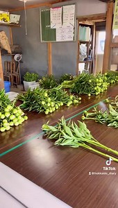 650K views · 10K reactions | เกษตรกรปลูกดอกไม้ในฮอกไกโด ....