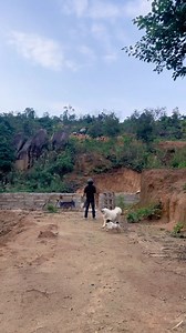 go go go | IceBlueBird