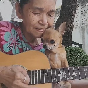 94K views · 5.9K reactions | ¡El cover perfecto no exis...!  | FestFriends | Facebook