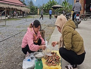 Harvesting carrots to sell at the market - Taking care of pets | Crafty Brushcraft
