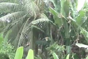 Its already one year amba killed 18 year Diane Efon😪😪 RIP pretty.... C'est déjà un an, l'amba a tué Diana Efon 18 ans😪😪 | MbOa