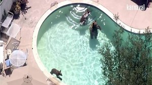 12K views · 141 reactions | Davetsiz misafirler :) | METRO FM | Facebook