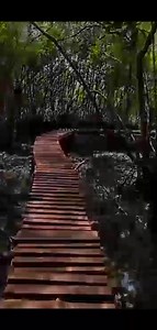 1.2K views · 39 reactions | Honnavar tourist attractions... | Honnavar Town | Facebook