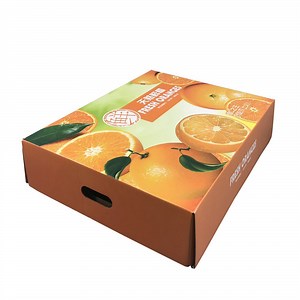 [Hot Item] Corrugated Folding Paper Packaging Box for Fruit