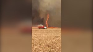 'Firenado' tears through Brazil sugarcane field
