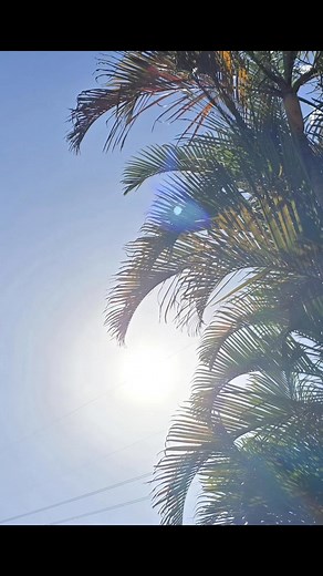 So I downloaded my reel to discover the duration was 1:11 Unintentional. There are no accidents, only synchronicity. This was the universe's perfect little wink. Step into the light and watch how everything aligns. | Sovereign Alchemy