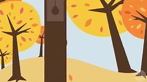 Don't forget that we turn the clocks back one hour tomorrow, Sunday, November 4 at 2:00 a.m. | Columbia College | Facebook