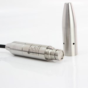 [Hot Item] 304stainless Steel 60 Meter Well 30 Meter Statically Water Level Measuring Pressure Level Meter