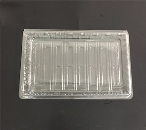 [Hot Item] Plastic (PS) food containers / disposable blueberry clamshell box